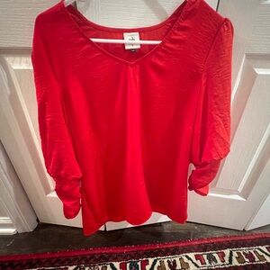 Cabi Long sleeved shirt with ruching on the sleeves
Color Res
Size Small